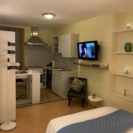 Appart'hotel Dizerens Geneva